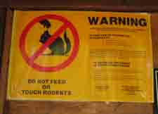 Plague Warning, South Upper Truckee Trail Head